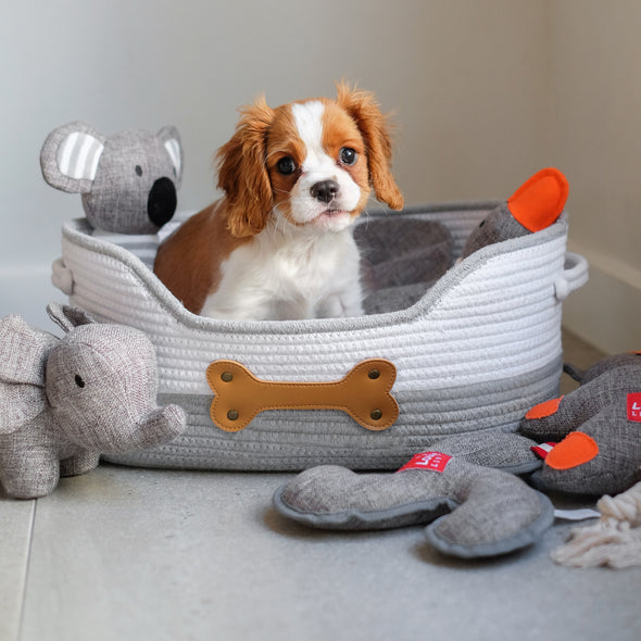 100% Cotton Rope Dog Toy Basket- Grey/Bone