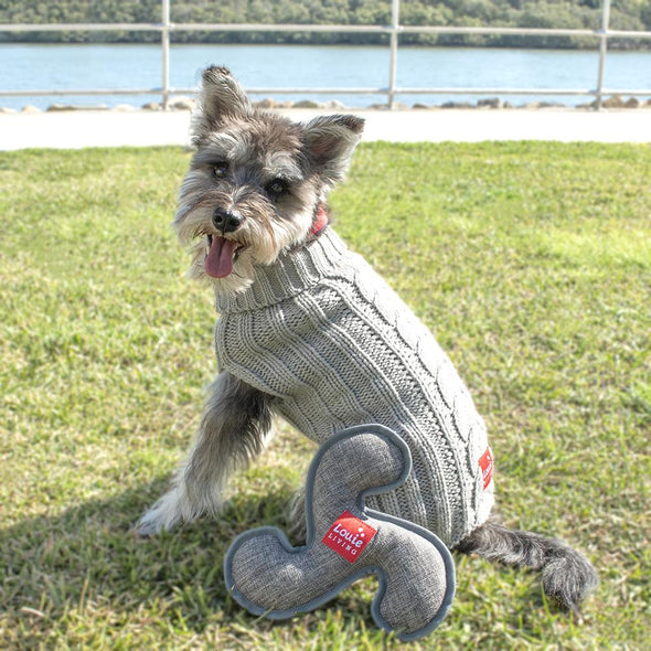 Urban Soft Frisbee