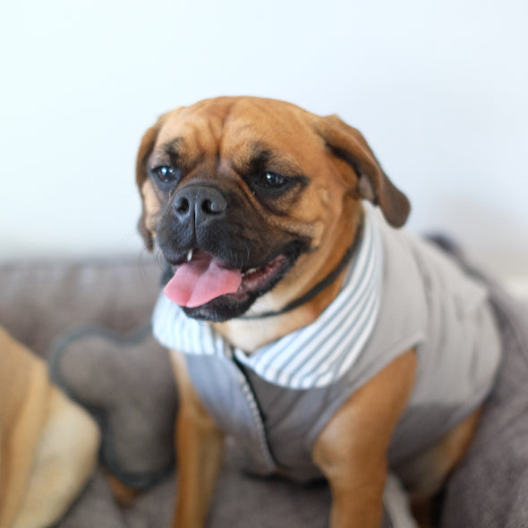Reversible Light Sweater