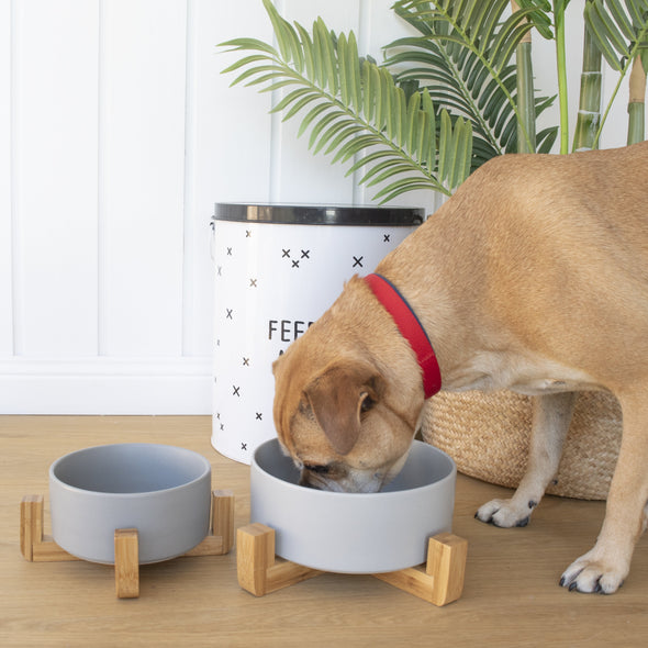 Ceramic Pet Bowl With Stand - Medium